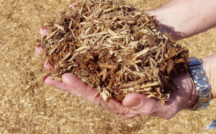 Правильная Теплоизоляция Стен